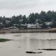 Monsoon Downpours Trigger Fatal Landslides in Southern Bangladesh Refugee Settlements