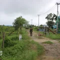 asdfc