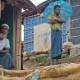ctg-rohinga