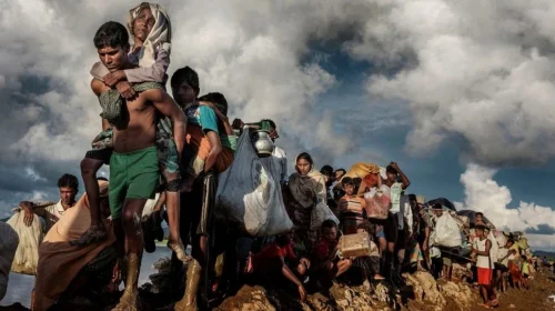 image-290708-1773410776