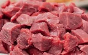 meat