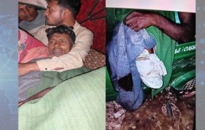 photo_2026-03-08_02-03-18