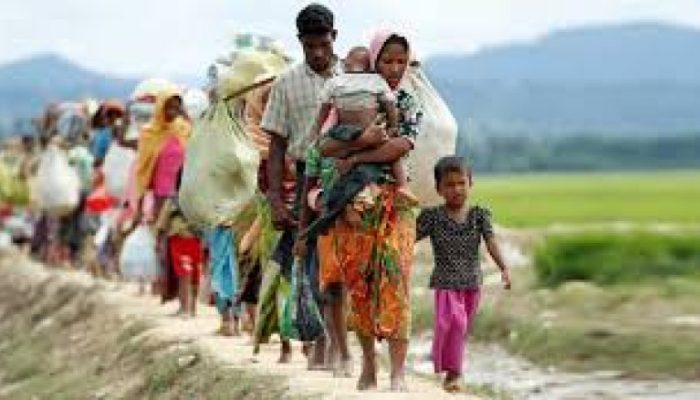 rohingya