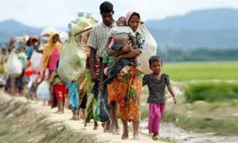 rohingya
