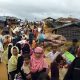 rohingya