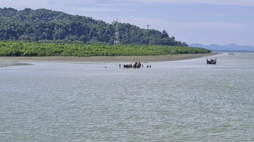 Shapuree island